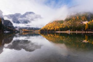 best DMC for Azerbaijan and Europe